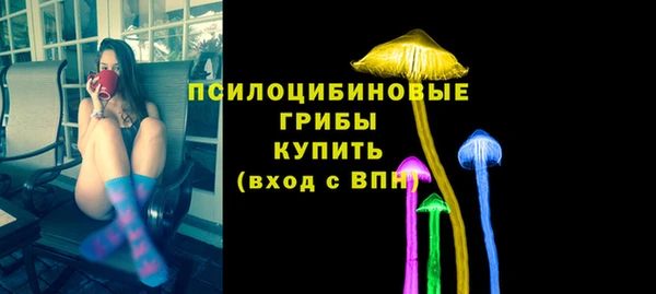 ALPHA PVP Мегион