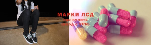 ПСИЛОЦИБИНОВЫЕ ГРИБЫ Майский