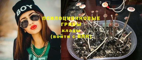 ALPHA PVP Магас