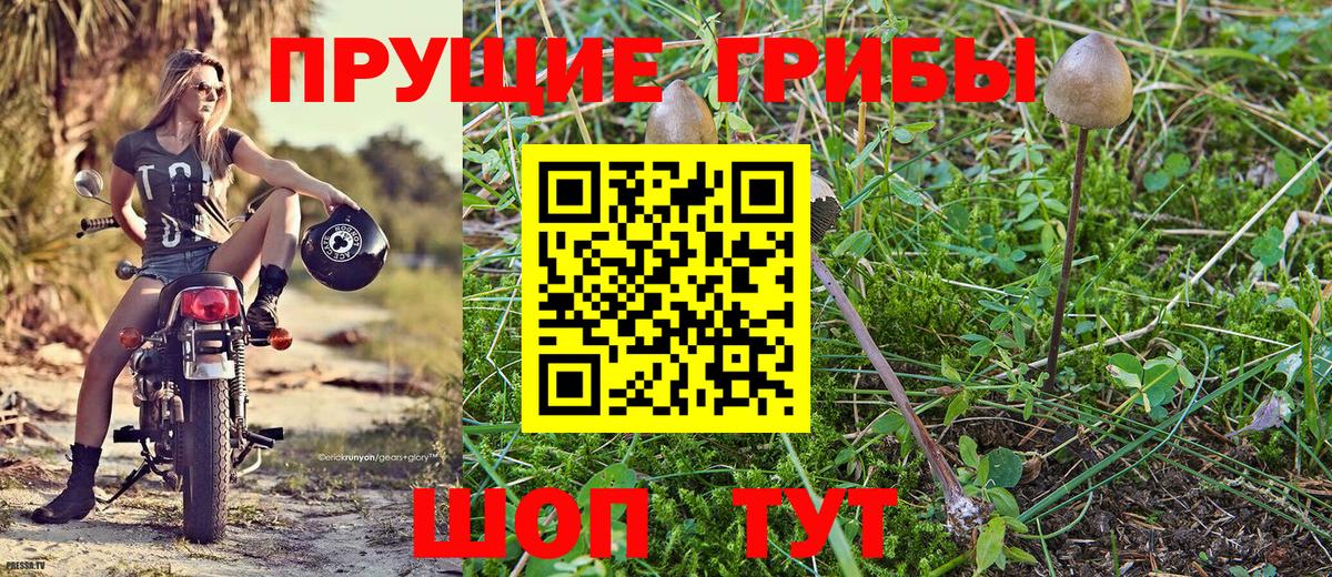 Комсомольск-на-Амуре  Псилоцибиновые грибы Psilocybe  Вход с VPN 